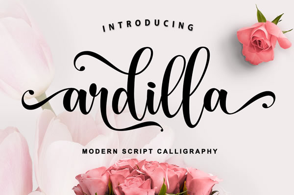 Ardilla Font: Handwritten Elegance, Free to Use