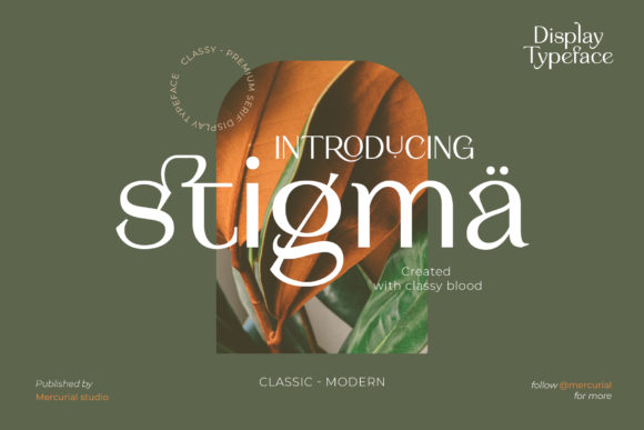Stigma Font: A Practical Evaluation for Designers and Developers
